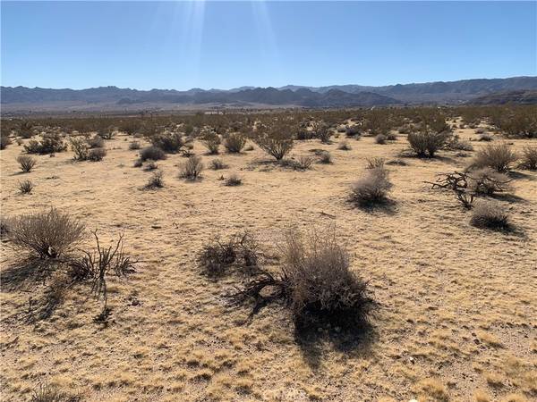 Joshua Tree, CA 92252,62259 Dixie LN