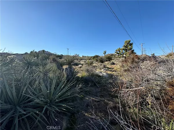 Yucca Valley, CA 92284,0 Buena Suerta RD