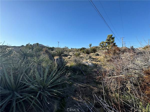 Yucca Valley, CA 92284,0 Buena Suerta RD