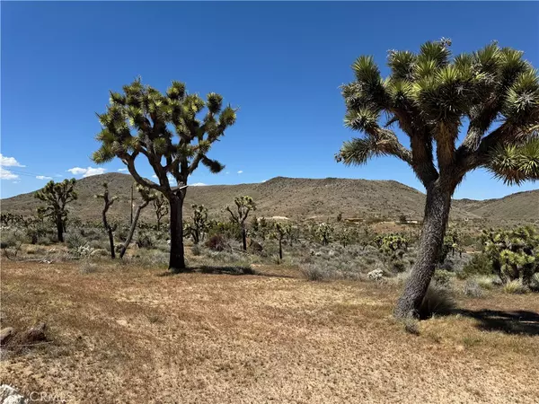 Yucca Valley, CA 92284,56215 Paseo Los Ninos