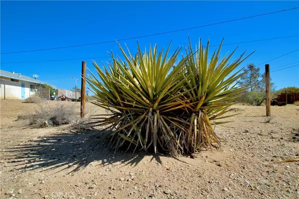 Joshua Tree, CA 92252,0 Avenida La Espana Daga