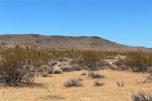 Joshua Tree, CA 92252,0 Willie WAY