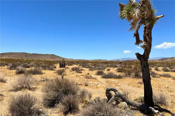 0 Willie WAY, Joshua Tree, CA 92252