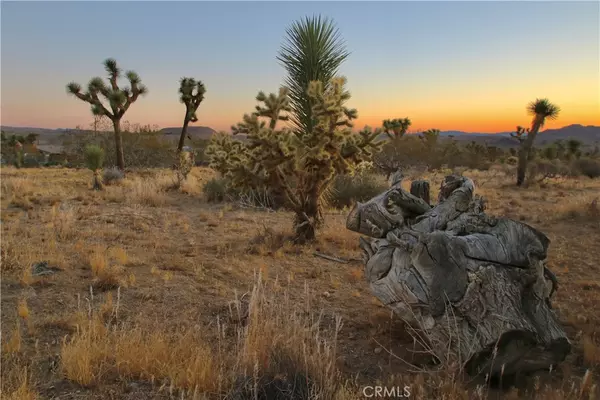 Joshua Tree, CA 92284,7635 La Contenta RD