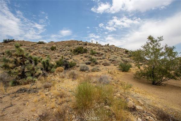 Yucca Valley, CA 92284,55700 Golden Bee DR