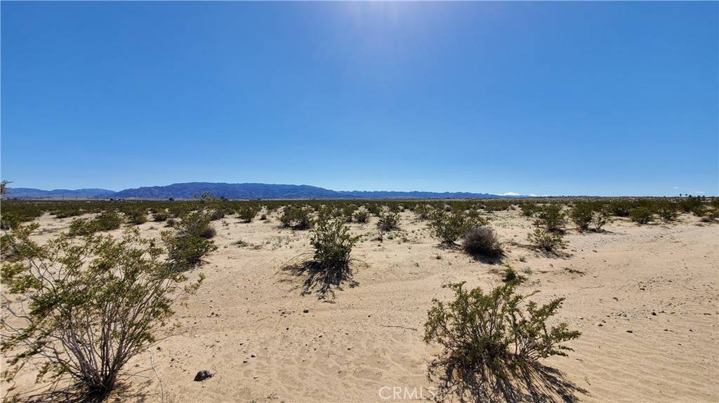 29 Palms, CA 92277,0 Taylor LN