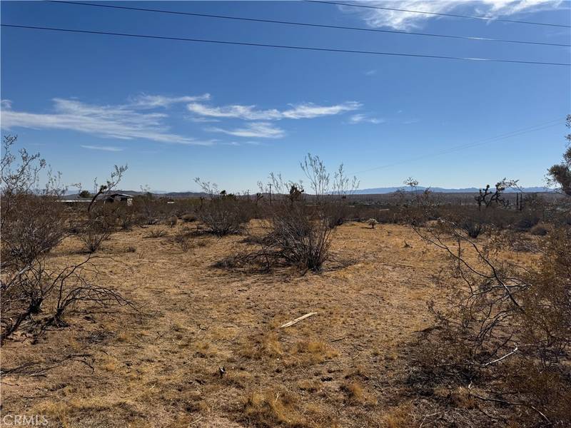 1175 Inca TRL, Yucca Valley, CA 92284