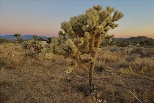 Joshua Tree, CA 92284,7635 La Contenta RD