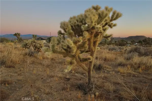 Joshua Tree, CA 92284,7635 La Contenta RD