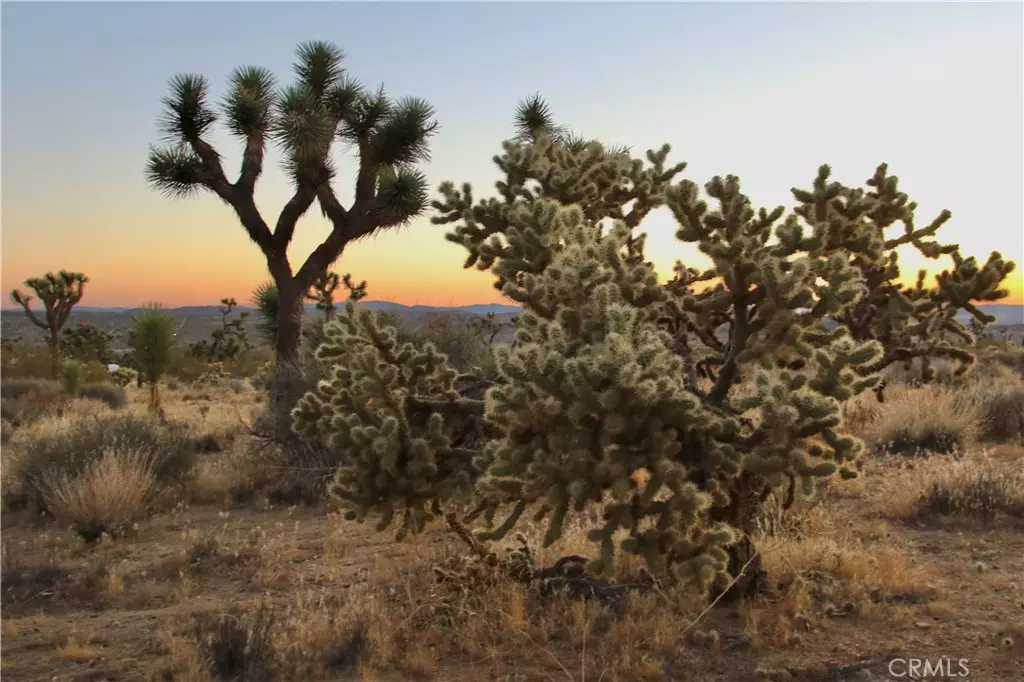 Joshua Tree, CA 92284,7635 La Contenta RD