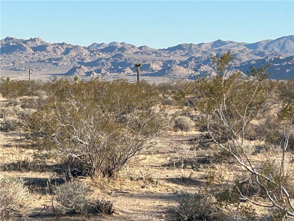 Joshua Tree, CA 92252,0 Celesta ST