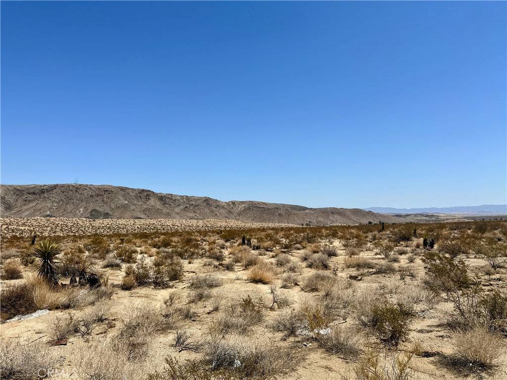 Joshua Tree, CA 92252,67000 29 Palms HWY