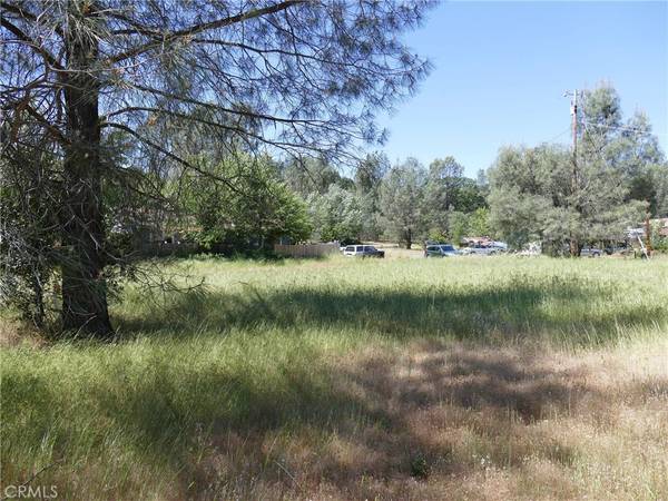 Clearlake Oaks, CA 95423,2818 Madrone WAY