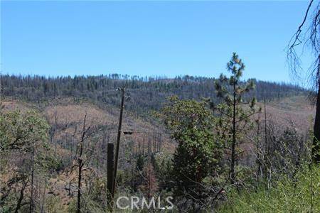 Cobb, CA 95461,17435 Parnassus RD