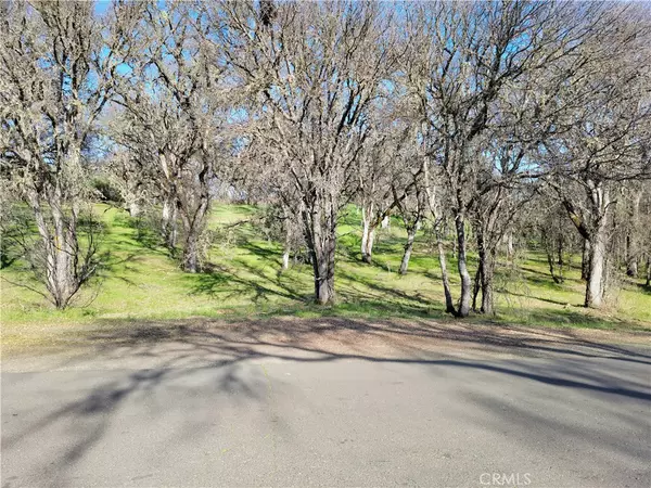 Lakeport, CA 95453,1255 Boggs LN