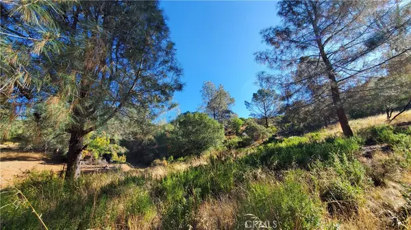 Kelseyville, CA 95451,3450 Westridge CIR