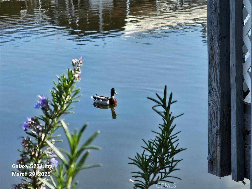 Clearlake Oaks, CA 95423,13344 Venus