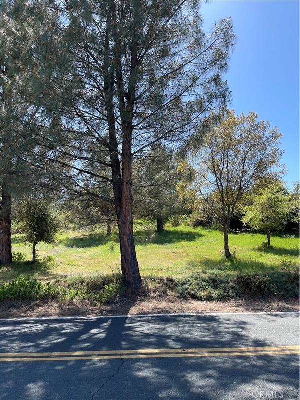 10715 Point Lakeview RD, Kelseyville, CA 95451