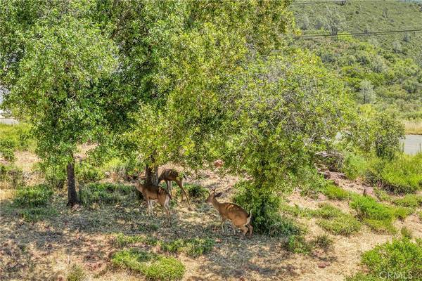 Hidden Valley Lake, CA 95467,15909 Little Peak RD