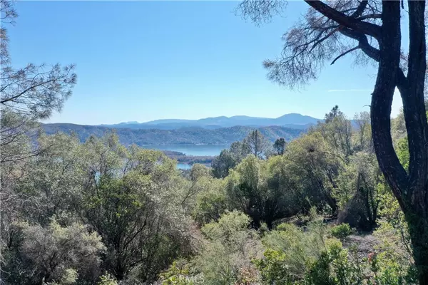 Clearlake Oaks, CA 95423,12403 Alta Vista DR