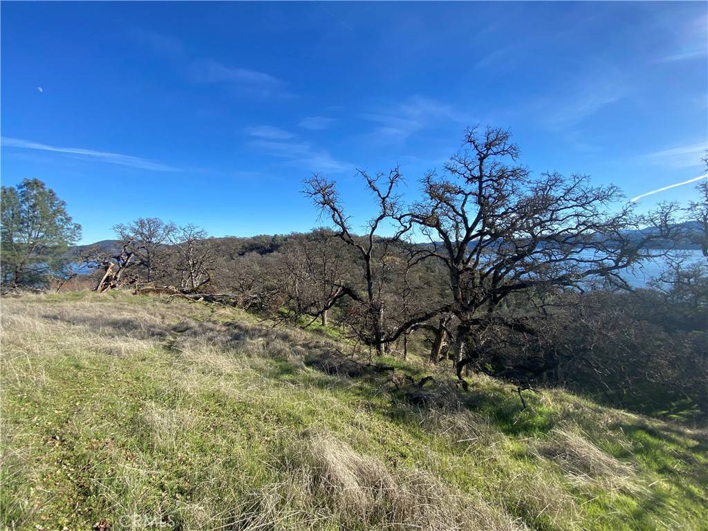 Clearlake, CA 95422,10697 Crestview DR