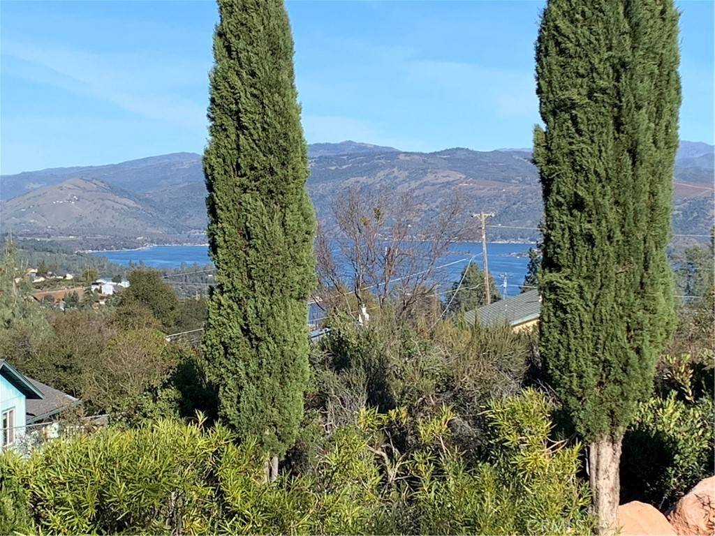 Kelseyville, CA 95451,9768 Marmot WAY