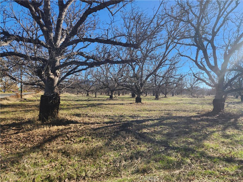 1665 Big Valley RD, Lakeport, CA 95453