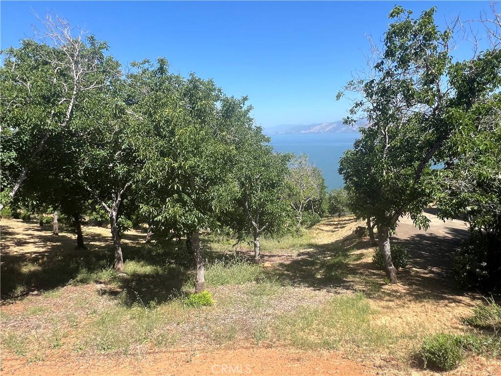 Kelseyville, CA 95451,3031 Westridge DR