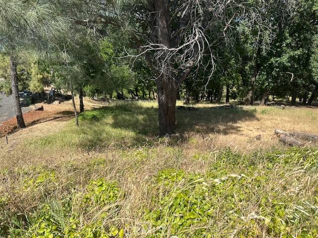 Kelseyville, CA 95451,3048 Riviera Heights DR