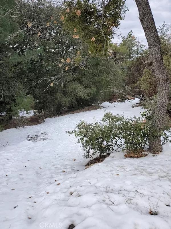 Idyllwild, CA 92549,0 Schaffer