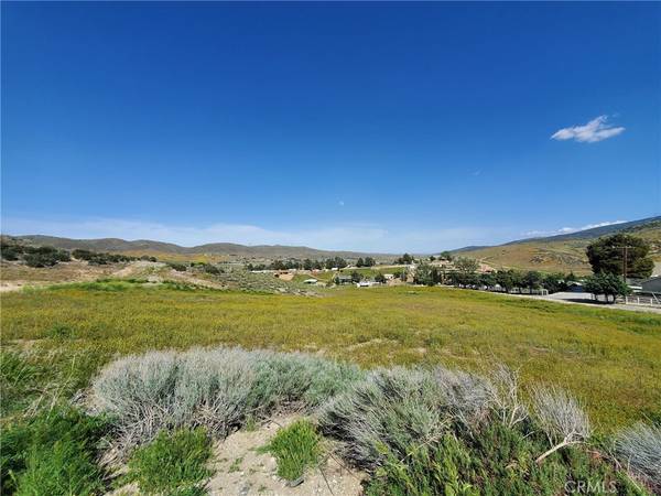 Leona Valley, CA 93551,87 Vac/87th Stw/Vic Vientos DR