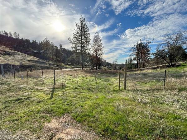 Mariposa, CA 95338,4775 Triangle RD