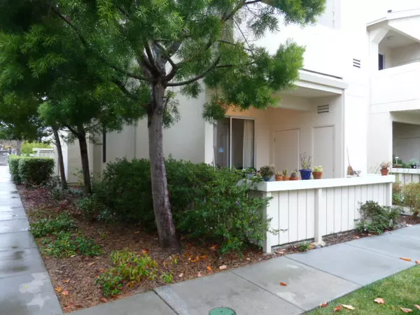 168 EVERSON DR, Santa Cruz, CA 95060