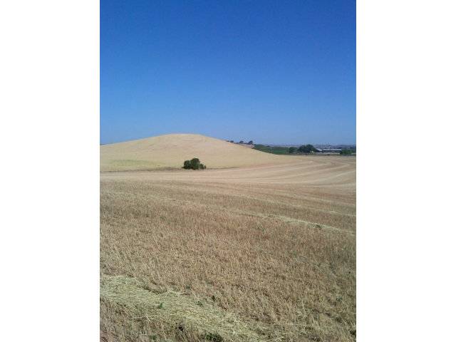 0 Buena Vista RD, Paso Robles, CA 93446