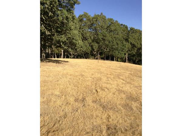 Portola Valley, CA 94028,4 BLUE OAKS CT