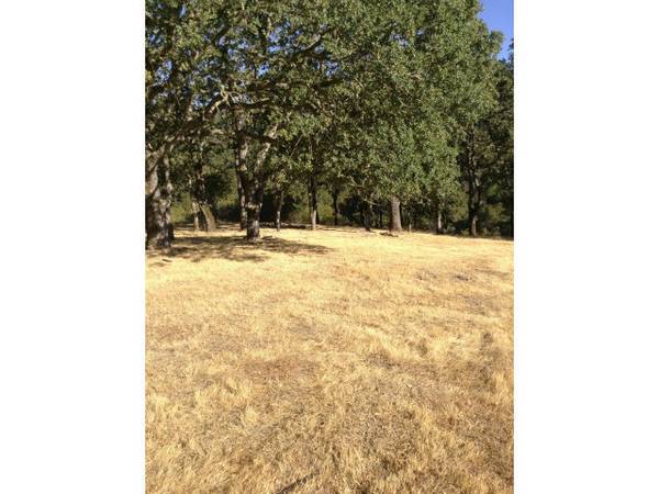 Portola Valley, CA 94028,5 BLUE OAKS CT