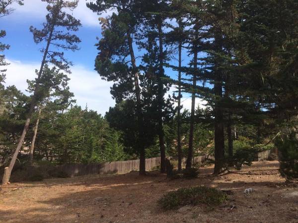 Pebble Beach, CA 93953,0 Forest WAY