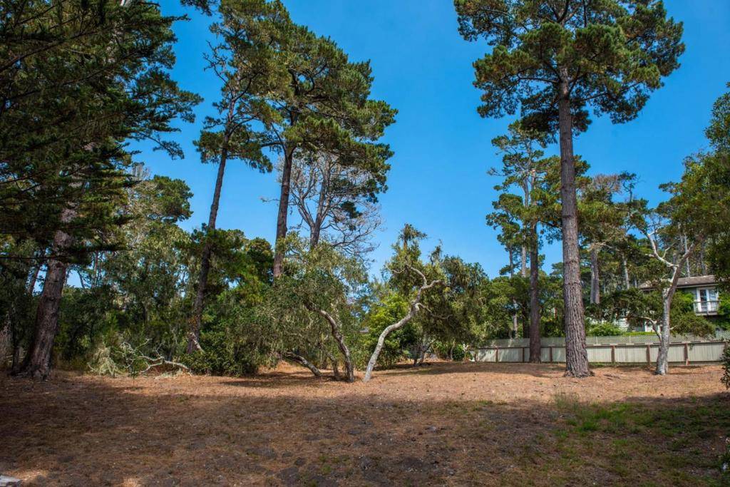 0 OAK WAY, Carmel Highlands, CA 93923