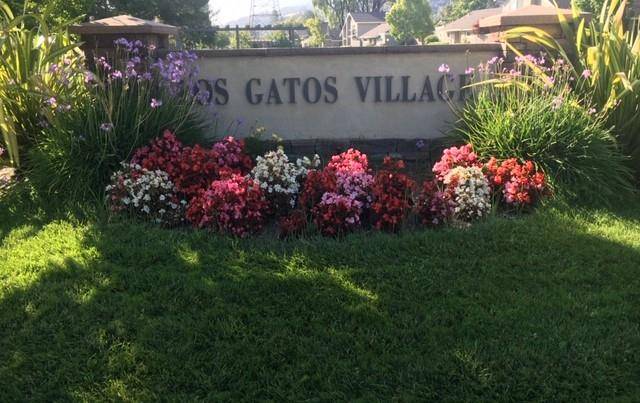 119 Escobar AVE, Los Gatos, CA 95032