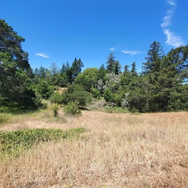 Scotts Valley, CA 95066