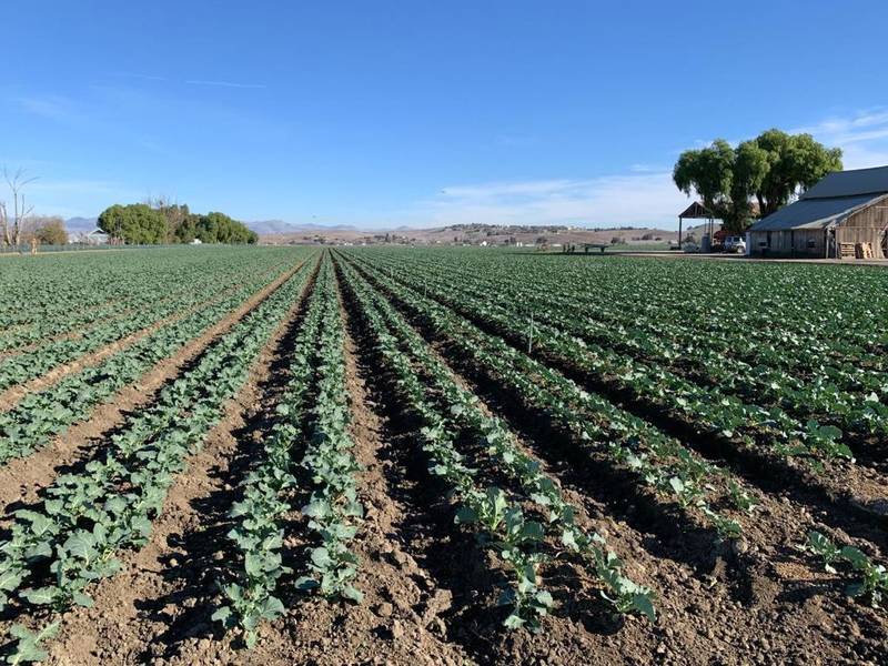 San Juan Bautista, CA 95045