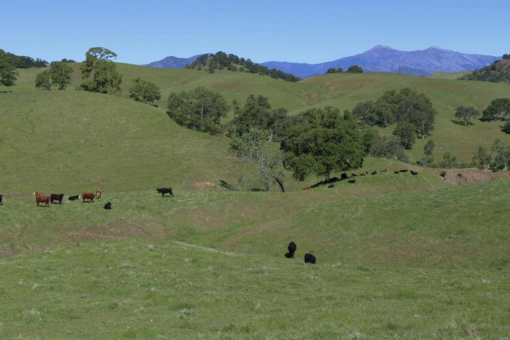 Igo, CA 96047,1 McAuliffe Road