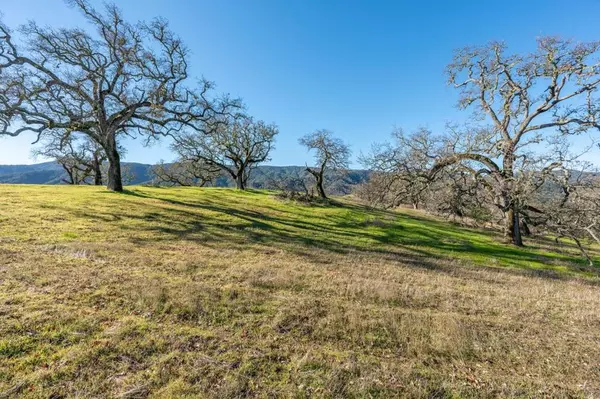 Carmel, CA 93923,33 Pronghorn Run (Lot 128)