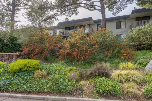 San Bruno, CA 94066,1223 Shelter Creek Lane