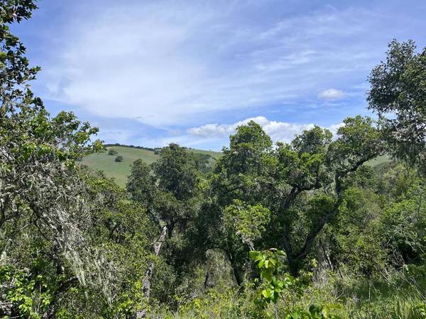 Carmel Valley, CA 93924,33446 E Carmel Valley RD