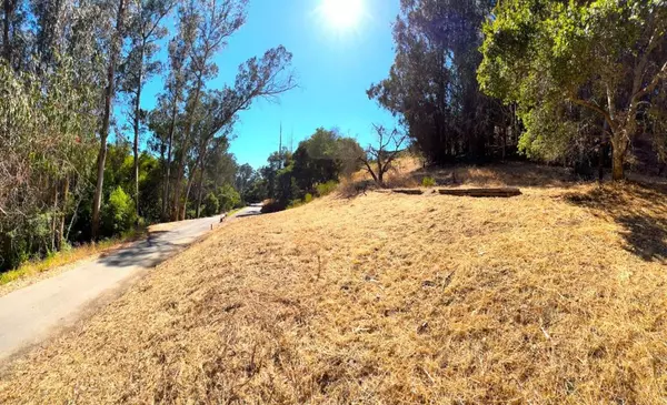 Santa Cruz, CA 95065,0 Lupine