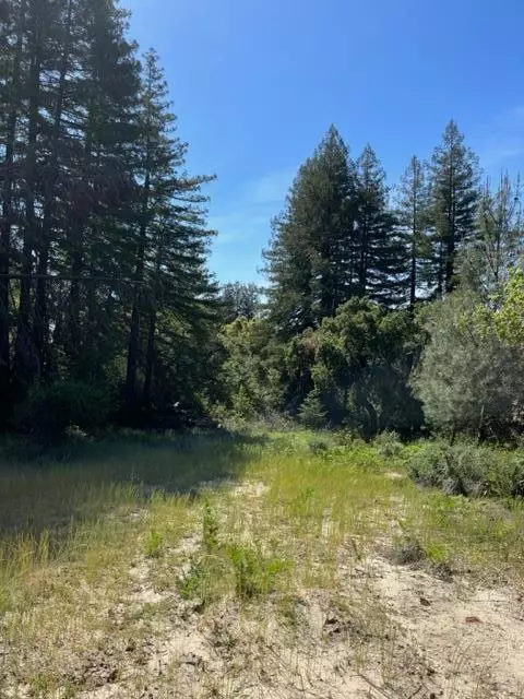 Boulder Creek, CA 95006,225 Santa Cruz ST