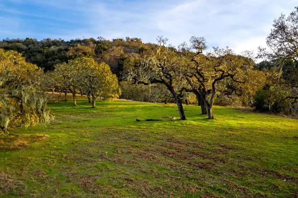 Carmel, CA 93923,14 Vasquez Trail (Lot 181)