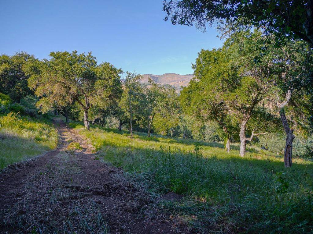 Greenfield, CA 93927,30010 Olivia DR