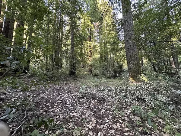 0 Logan Creek RD, Boulder Creek, CA 95006